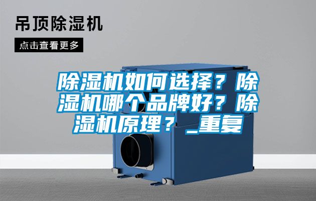 国产精品三级在线观看 除湿机如何选择？除湿机哪个品牌好？除湿机原理？_重复