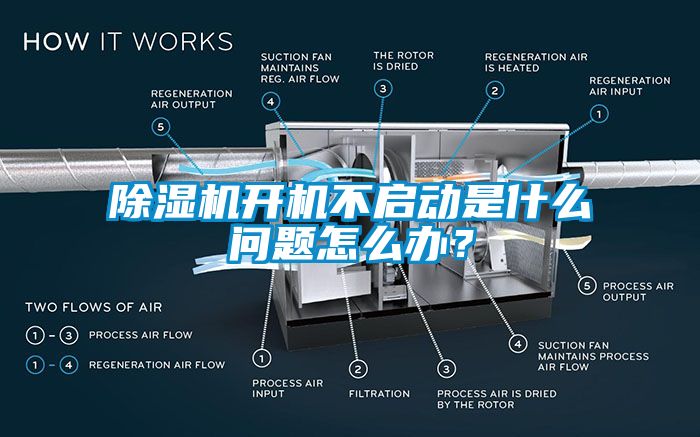 国产精品三级在线观看 除湿机开机不启动是什么问题怎么办？