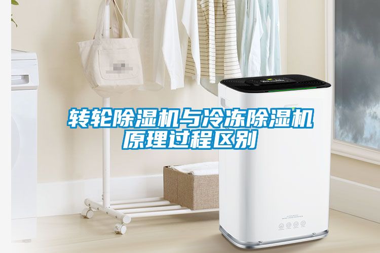 国产精品三级在线观看 转轮除湿机与冷冻除湿机原理过程区别