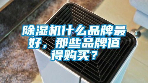 国产精品三级在线观看 除湿机什么品牌最好，那些品牌值得购买？