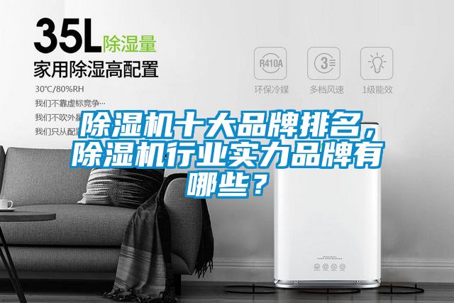 国产精品欧美激情视频 除湿机十大品牌排名，除湿机行业实力品牌有哪些？