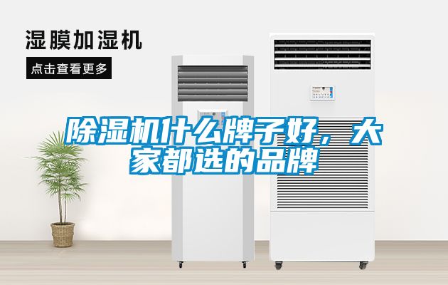 国产精品欧美激情视频 除湿机什么牌子好，大家都选的品牌