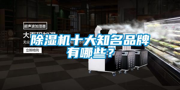 国产精品三级在线观看 除湿机十大知名品牌有哪些？