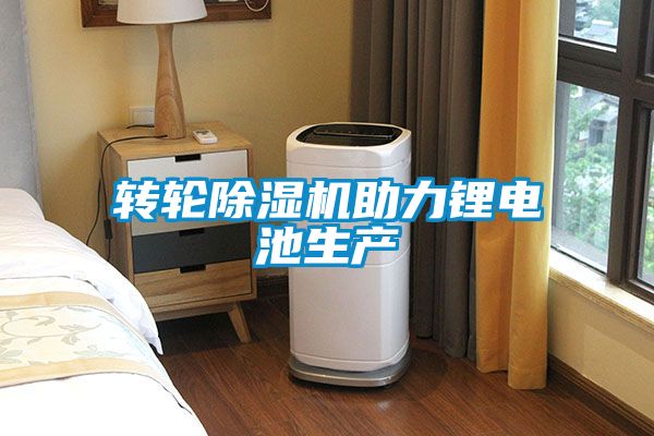 国产精品探花在线观看 转轮除湿机助力锂电池生产