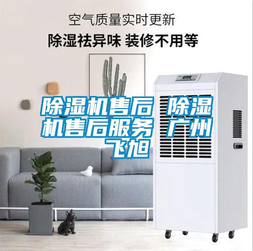 国产精品欧美激情视频 除湿机售后 除湿机售后服务 广州飞旭