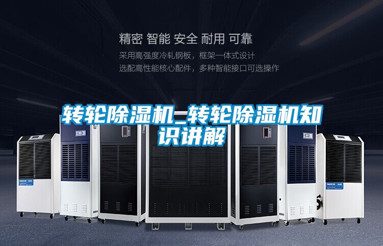 国产精品欧美激情视频 转轮除湿机_转轮除湿机知识讲解
