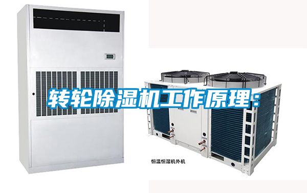 国产精品欧美激情视频 转轮除湿机工作原理：