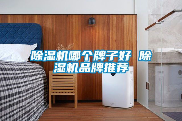 国产精品欧美激情视频 除湿机哪个牌子好 除湿机品牌推荐