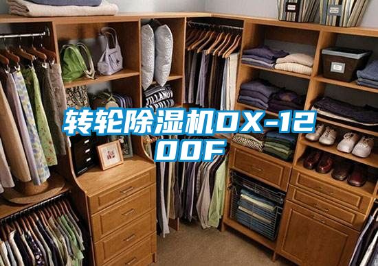 国产精品三级在线观看 转轮除湿机DX-1200F