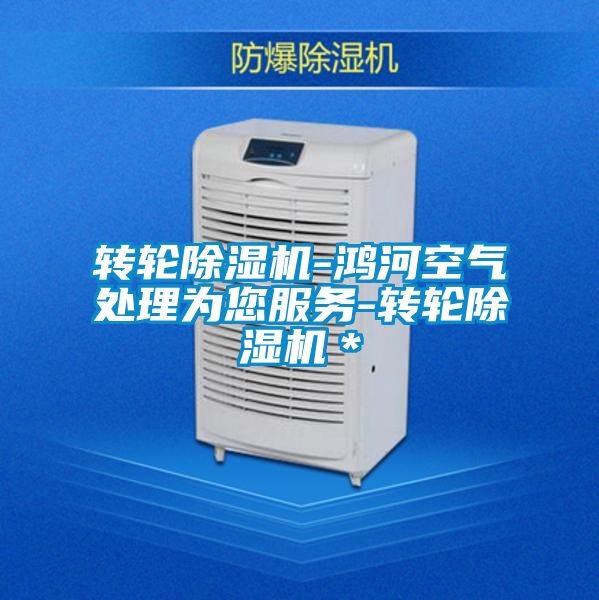 国产精品欧美激情视频 转轮除湿机-鸿河空气处理为您服务-转轮除湿机＊