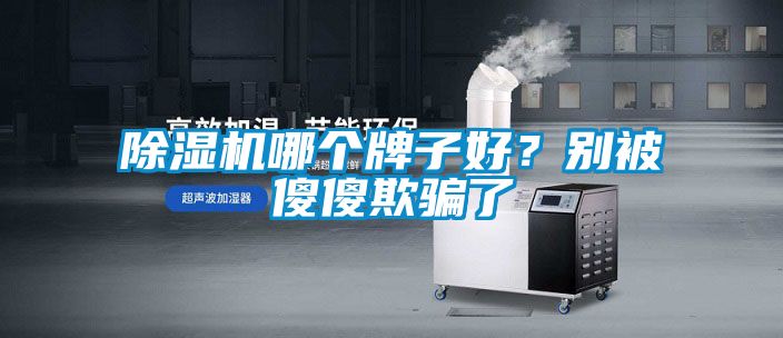 国产精品欧美激情视频 除湿机哪个牌子好？别被傻傻欺骗了