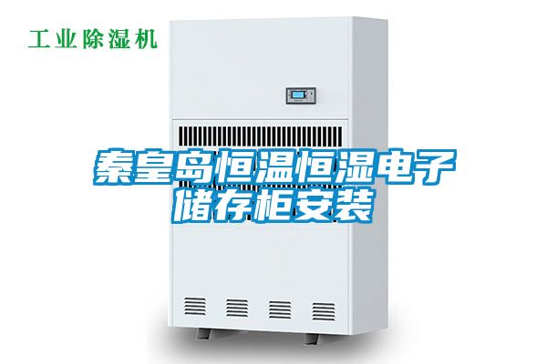 国产精品三级在线观看 秦皇岛恒温恒湿电子储存柜安装