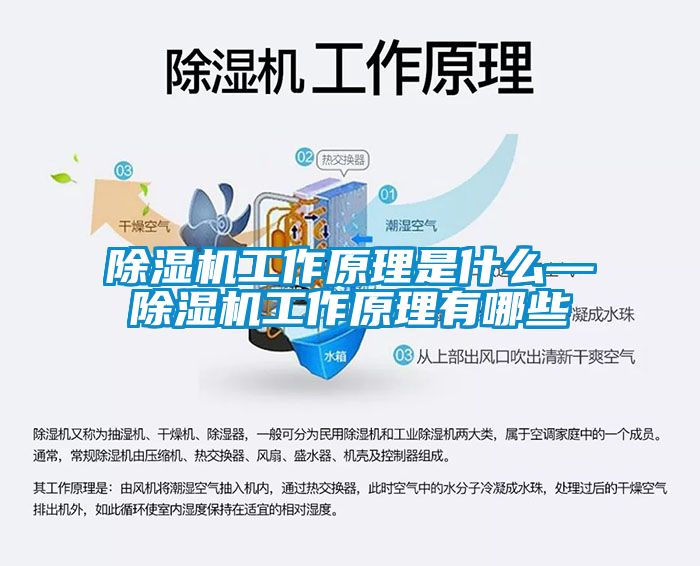 国产精品探花在线观看 除湿机工作原理是什么—除湿机工作原理有哪些