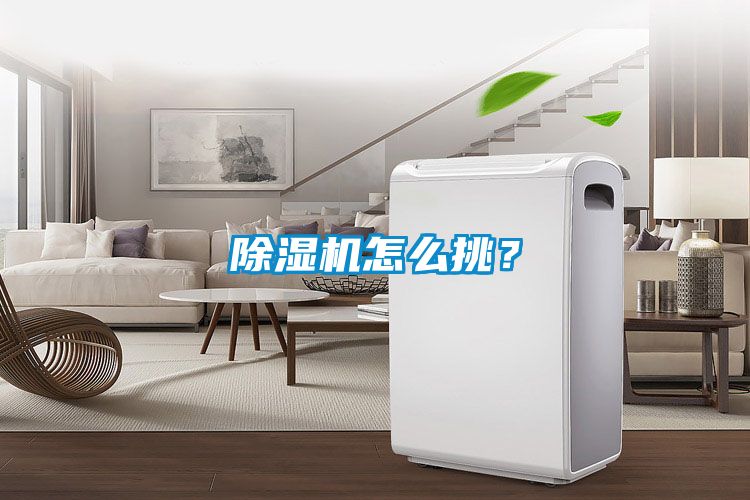 国产精品三级在线观看 除湿机怎么挑？