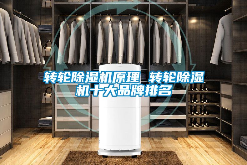 国产精品欧美激情视频 转轮除湿机原理 转轮除湿机十大品牌排名