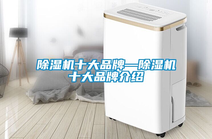 国产精品欧美激情视频 除湿机十大品牌—除湿机十大品牌介绍