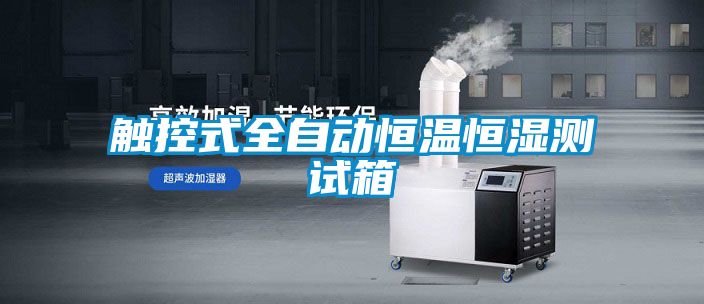 国产精品三级在线观看 触控式全自动恒温恒湿测试箱