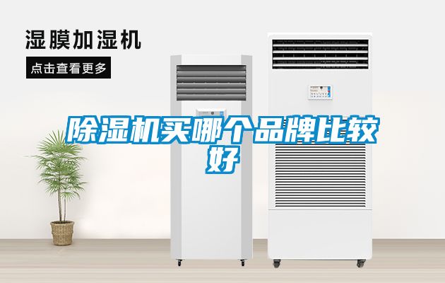 国产精品三级在线观看 除湿机买哪个品牌比较好