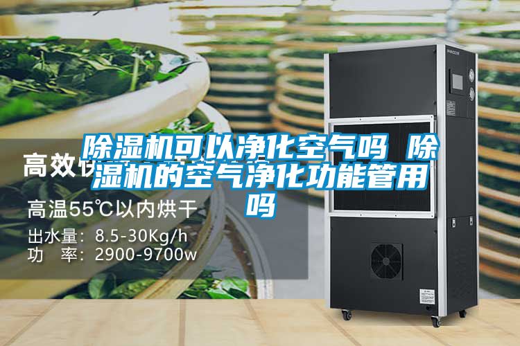 国产精品三级在线观看 除湿机可以净化空气吗 除湿机的空气净化功能管用吗