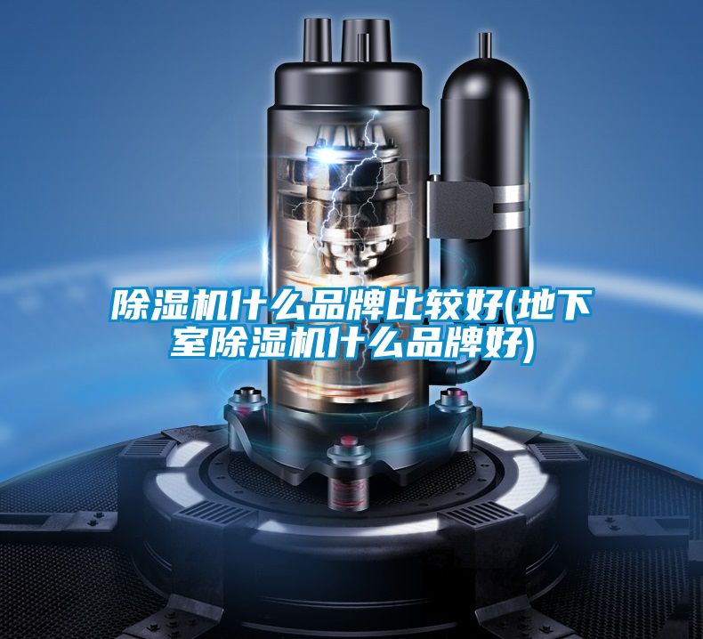 国产精品探花在线观看 除湿机什么品牌比较好(地下室除湿机什么品牌好)