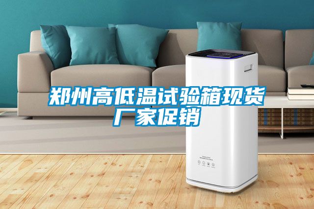 国产精品探花在线观看 郑州高低温试验箱现货厂家促销