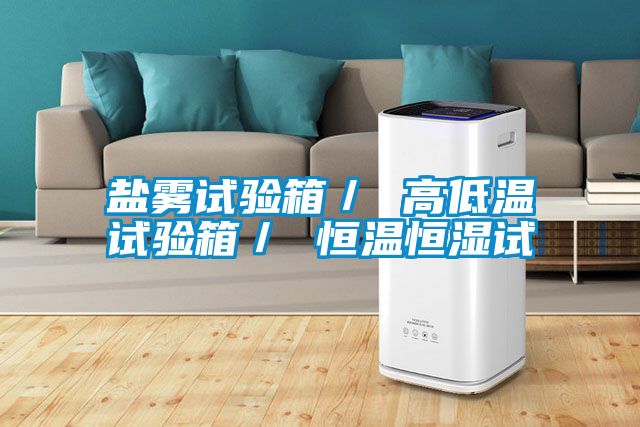 国产精品探花在线观看 盐雾试验箱／ 高低温试验箱／ 恒温恒湿试
