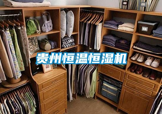 国产精品三级在线观看 贵州恒温恒湿机