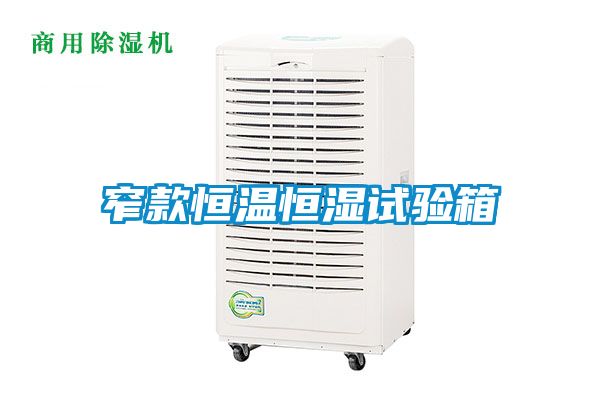 国产精品探花在线观看 窄款恒温恒湿试验箱