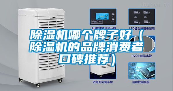 国产精品欧美激情视频 除湿机哪个牌子好（除湿机的品牌消费者口碑推荐）