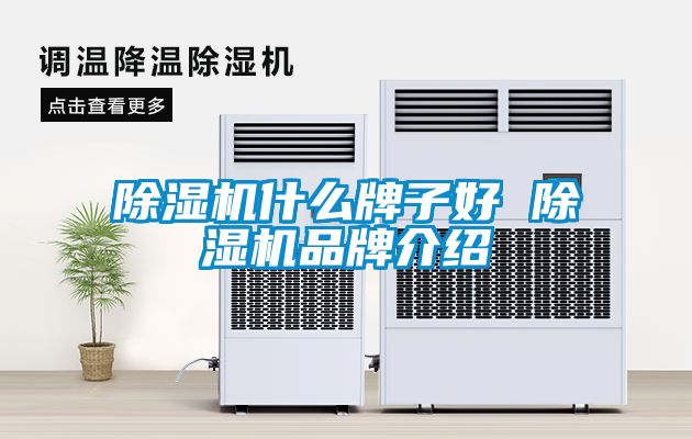 国产精品三级在线观看 除湿机什么牌子好 除湿机品牌介绍
