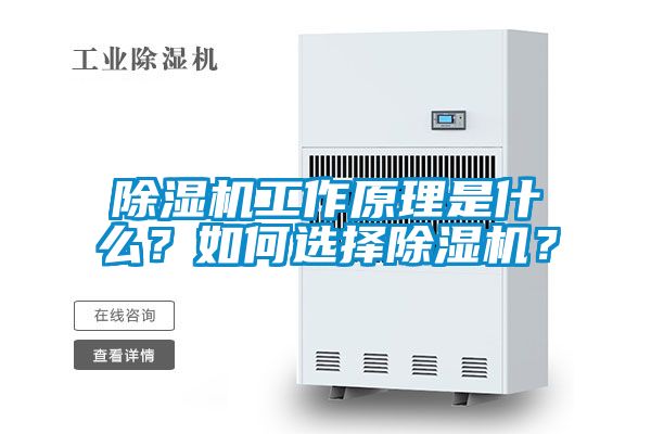 国产精品三级在线观看 除湿机工作原理是什么？如何选择除湿机？