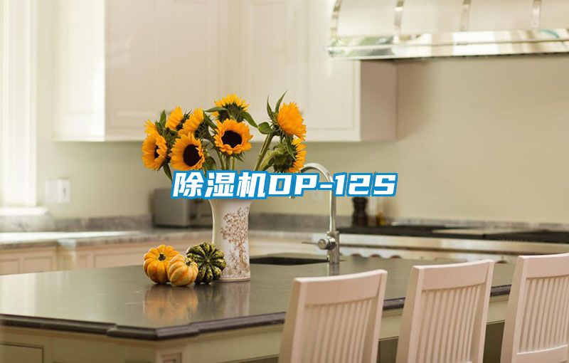 国产精品探花在线观看 除湿机DP-12S