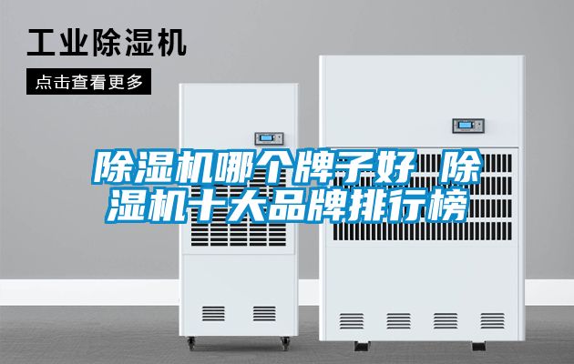 国产精品欧美激情视频 除湿机哪个牌子好 除湿机十大品牌排行榜