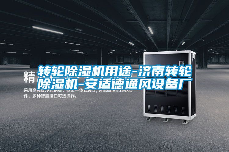 国产精品三级在线观看 转轮除湿机用途-济南转轮除湿机-安适德通风设备厂