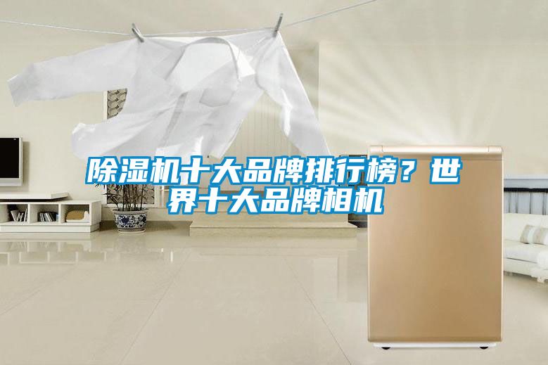 国产精品欧美激情视频 除湿机十大品牌排行榜？世界十大品牌相机