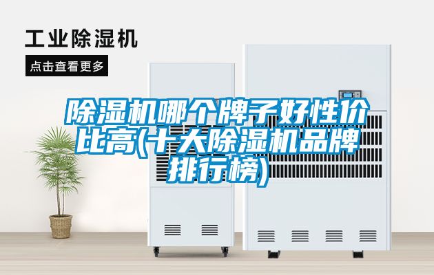 国产精品三级在线观看 除湿机哪个牌子好性价比高(十大除湿机品牌排行榜)