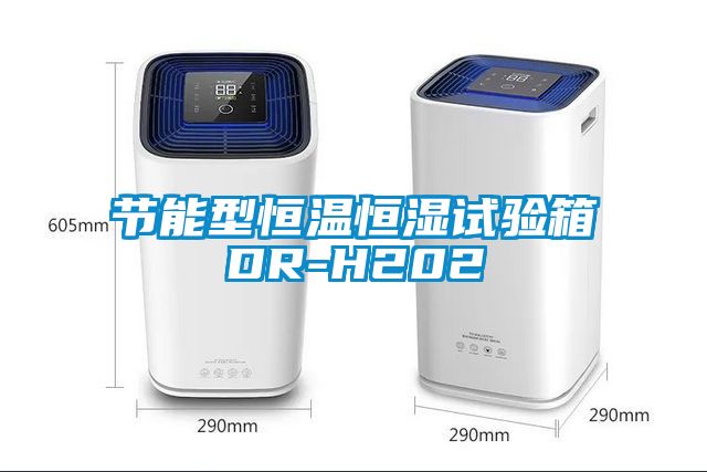 国产精品欧美激情视频 节能型恒温恒湿试验箱DR-H202
