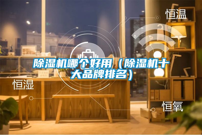 国产精品欧美激情视频 除湿机哪个好用（除湿机十大品牌排名）