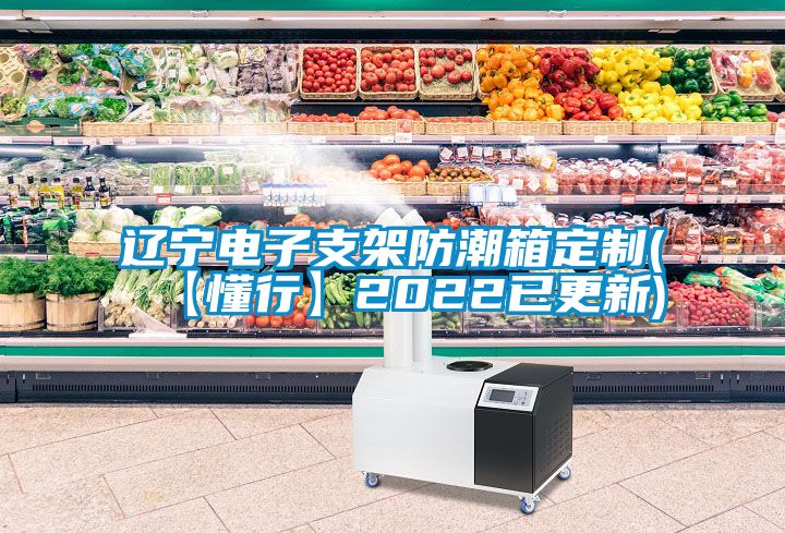 国产精品探花在线观看 辽宁电子支架防潮箱定制(【懂行】2022已更新)