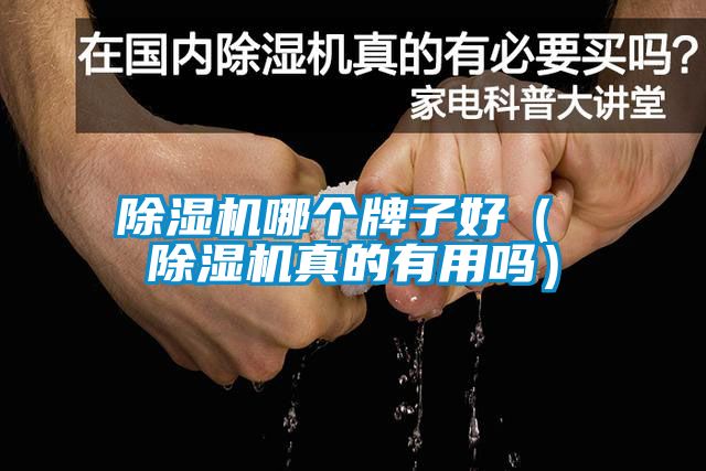 国产精品欧美激情视频 除湿机哪个牌子好（ 除湿机真的有用吗）