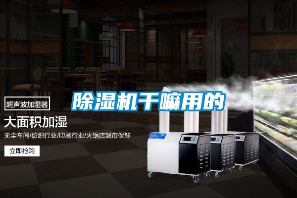 国产精品欧美激情视频 除湿机干嘛用的