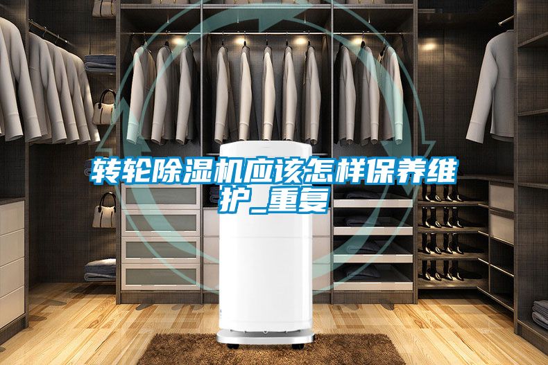 国产精品三级在线观看 转轮除湿机应该怎样保养维护_重复