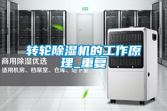 国产精品探花在线观看 转轮除湿机的工作原理_重复