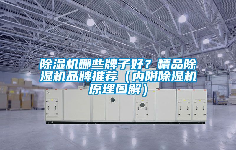 国产精品欧美激情视频 除湿机哪些牌子好？精品除湿机品牌推荐（内附除湿机原理图解）