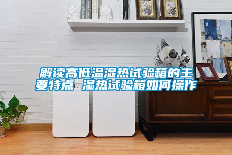 国产精品探花在线观看 解读高低温湿热试验箱的主要特点 湿热试验箱如何操作