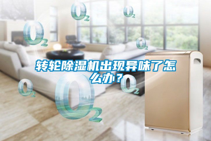 国产精品探花在线观看 转轮除湿机出现异味了怎么办？