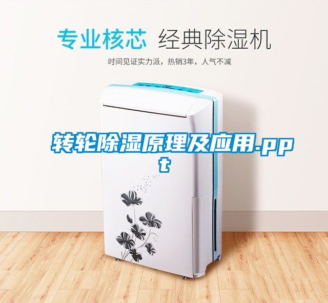 国产精品三级在线观看 转轮除湿原理及应用.ppt