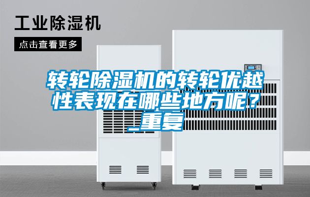 国产精品欧美激情视频 转轮除湿机的转轮优越性表现在哪些地方呢？_重复