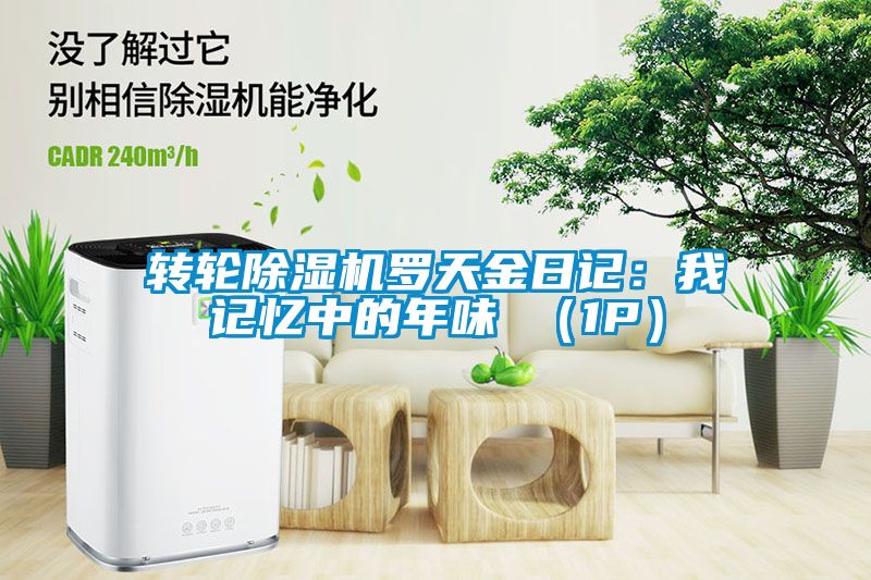 国产精品欧美激情视频 转轮除湿机罗天金日记：我记忆中的年味 （1P）