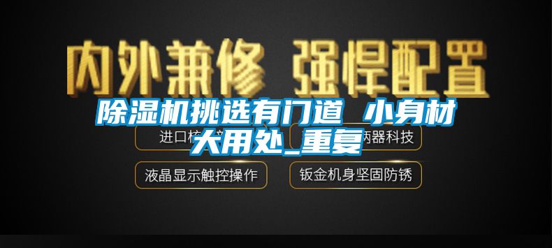 国产精品三级在线观看 除湿机挑选有门道 小身材大用处_重复